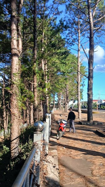 Ăn vặt trà sữa Biển Hồ