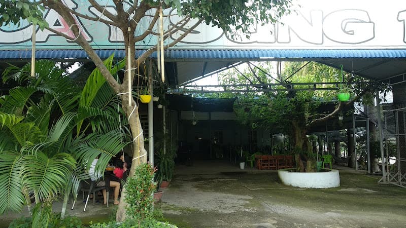 Hình ảnh Cafe cây sung107 - 2
