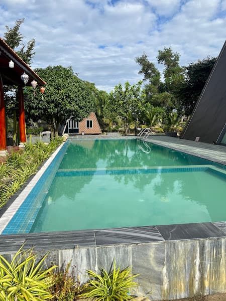 Hình ảnh THẠCH LỰU MỘC - 3