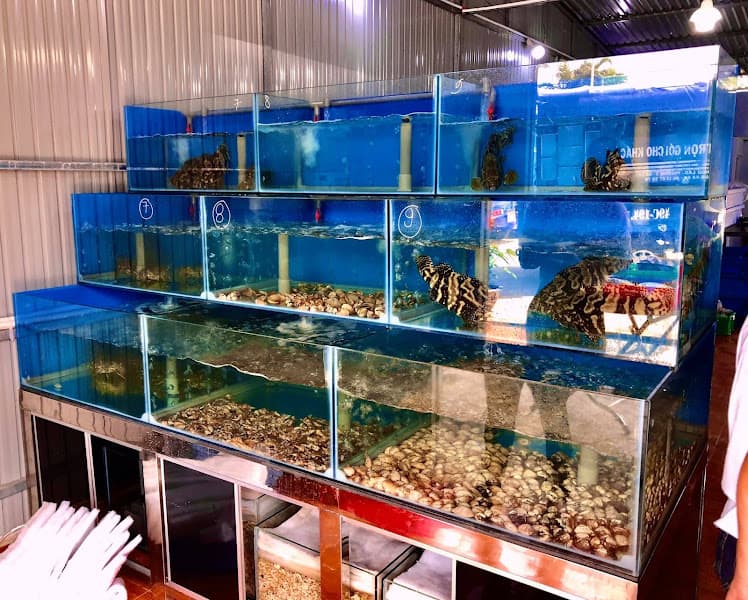 Hải Sản Xanh - Hải Sản Tươi Sống Tại Đà Lạt