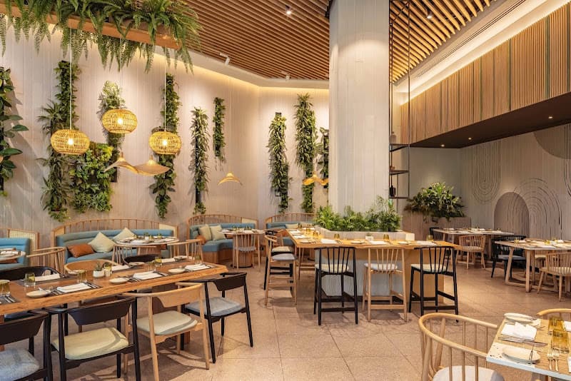 Hình ảnh Mosaico - 6