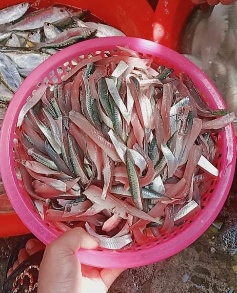 Hình ảnh Gỏi cá trích Đà Nẵng - 5