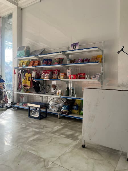 Hình ảnh Bệnh Viện Thú Y Huế - Hue Pet - 2