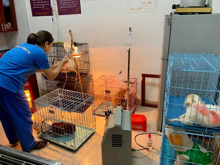 Hình ảnh Bệnh Viện Thú Y 2Vet Vĩnh Phúc - 3