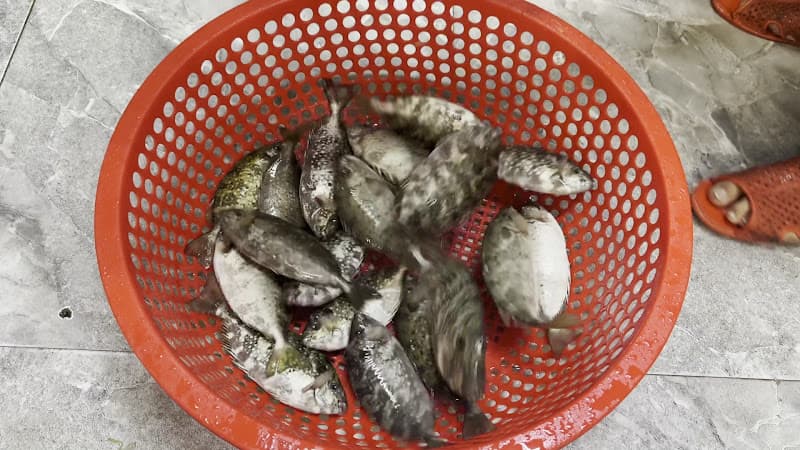 Hình ảnh Ẩm thực 68 Quảng Yên - 4