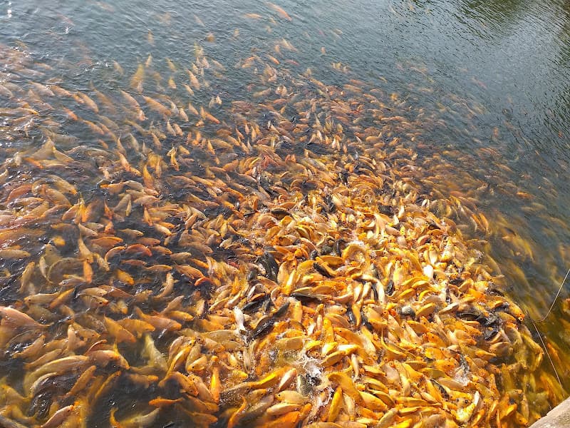 Hình ảnh Karaoke New Family - 2