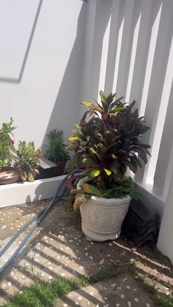 Hình ảnh Mountain View Homestay Tay Ninh - Căn hộ dịch vụ nguyên căn - 3