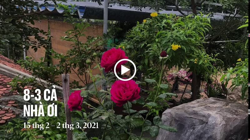 Hình ảnh Phuc An Hill - Restaurant - 3