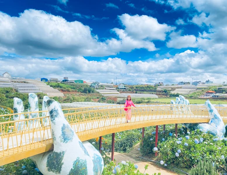 Hình ảnh Vườn Hoa Cẩm Tú Cầu - 3