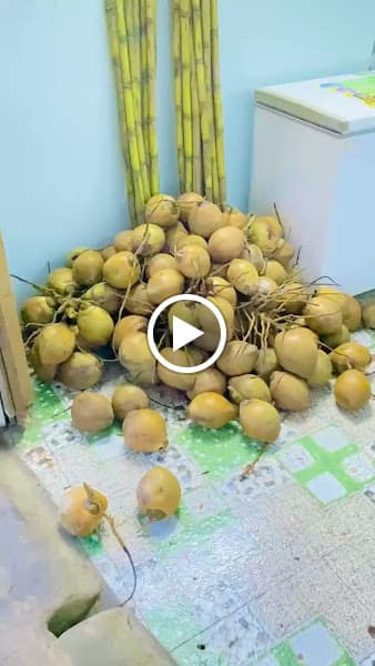 Hình ảnh Minh Minh Coffee - 2