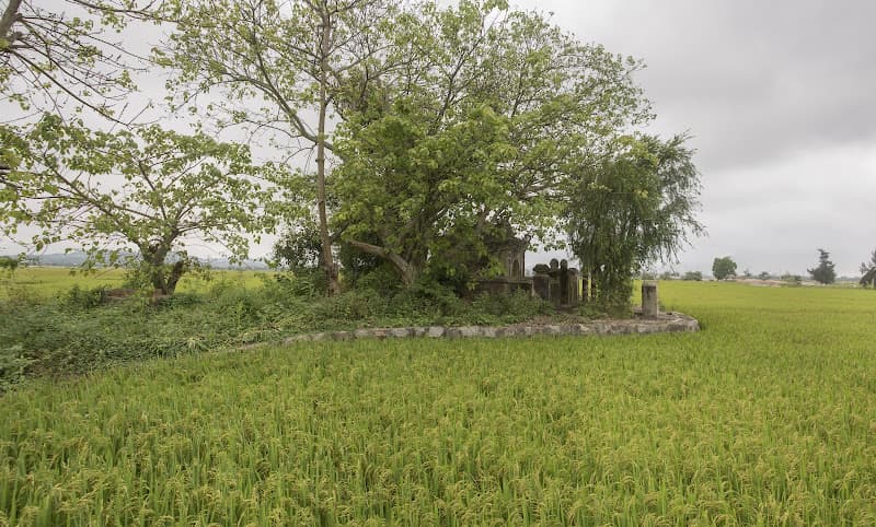 Hình ảnh Di Tích Cồn Miệu - 5