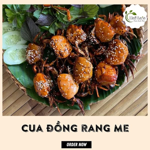 Hình ảnh Vườn Sinh Thái Mai La’s - 4