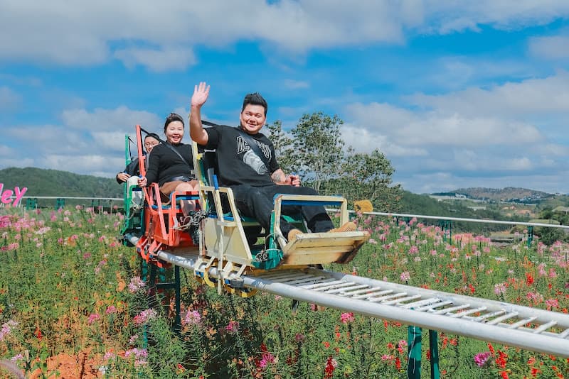 Pink Valley Đà Lạt