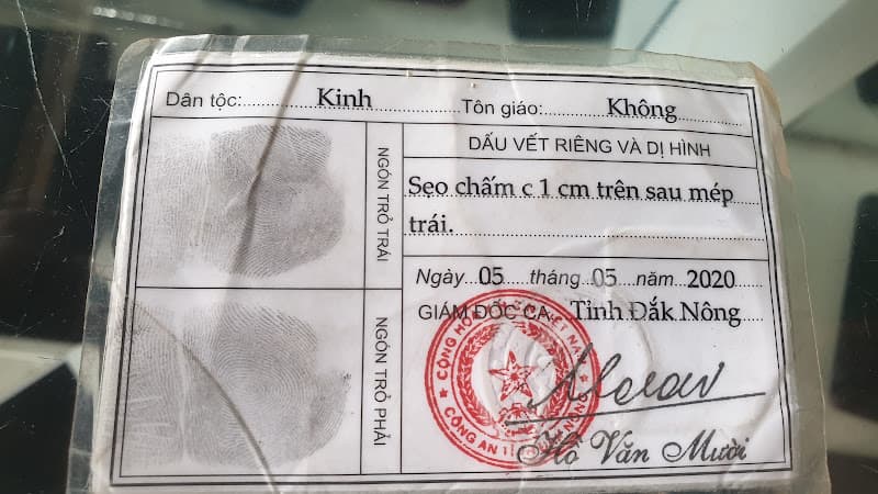 Hình ảnh Lẩu Cá Lăng Ngon - 2