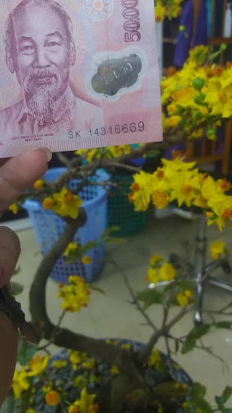 Hình ảnh Beauty Salon Anh Tài - 2