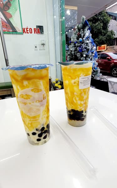 Yinghua Cha Hạ Long - 52 Lê Thánh Tông