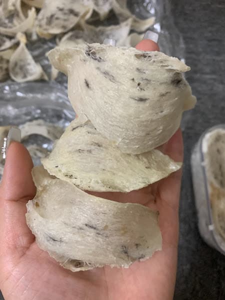 Hình ảnh Yến Sào Nha Trang ( Mai Nguyễn) - 4