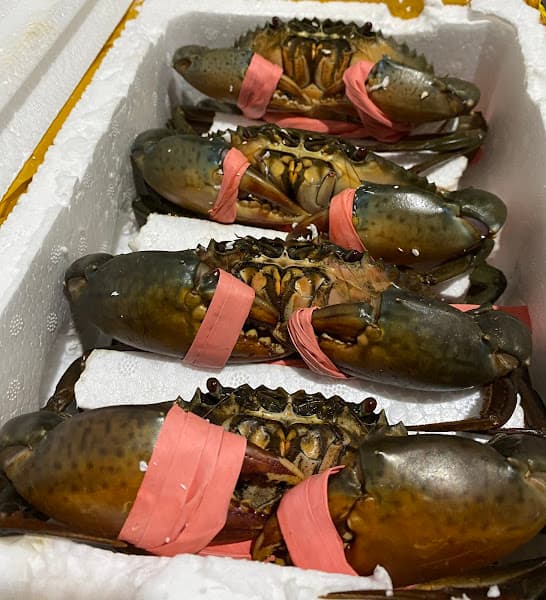 Hình ảnh Cua Ngon 69 Cà Mau - 4