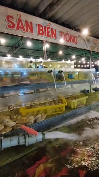 Hình ảnh Chợ hải sản Biển Đông - 4
