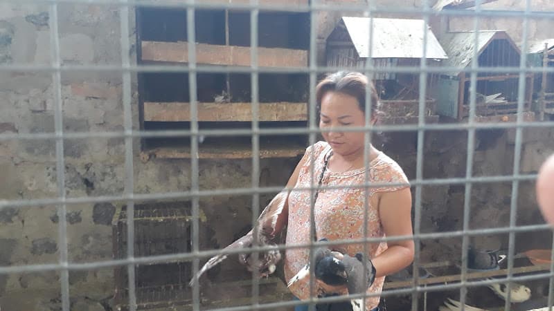 Hình ảnh Trang Huế-Bún bò huế - 3