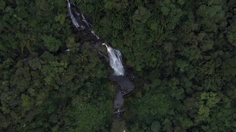 Hình ảnh Vườn Quốc gia Pù Mát - 5