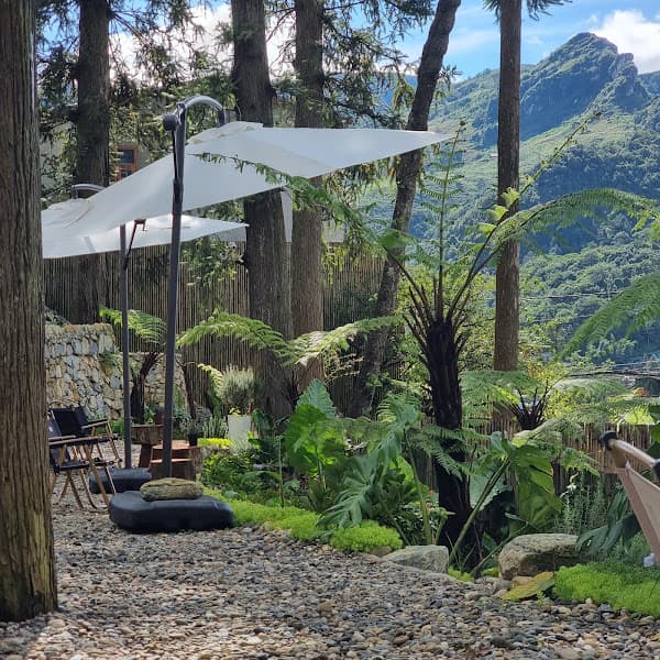 Hình ảnh The Pine Forest Sapa - 5