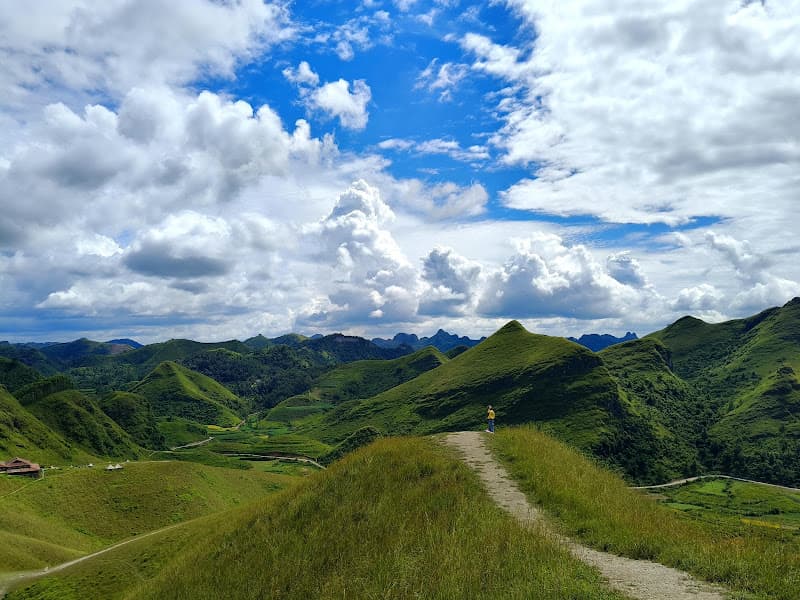 Ảnh bìa Đồi Cỏ Cháy Vinh Quý