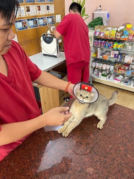 Hình ảnh Phòng Khám Thú Y Gia Lai – Dương Cốc - 2