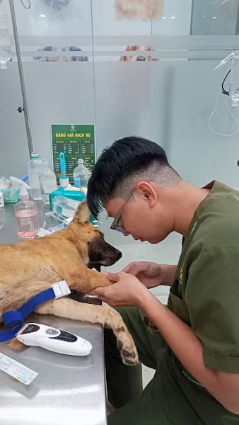 Hình ảnh Bệnh Viện Thú Y Ngọc Hà - 2