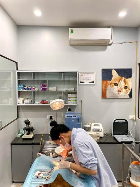 Hình ảnh Trung Tâm Chăm Sóc Thú Y Moon Pet Lào Cai - 2