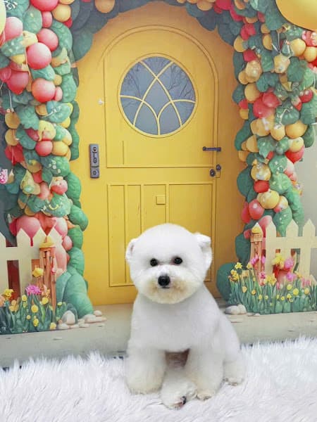 Ảnh bìa RICHY PET _ Thế Giới Thú Cưng