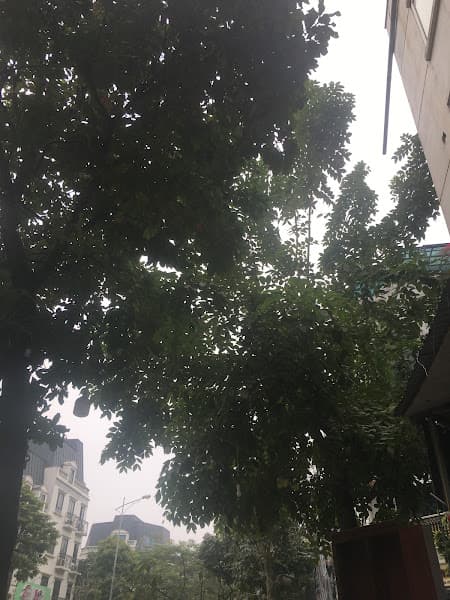 Hình ảnh Sky Pickleball ClubHouse - 5