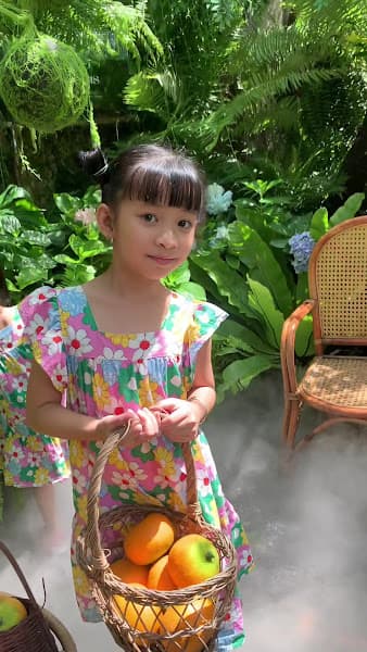 Hình ảnh Mùa Quýt Chín - 2