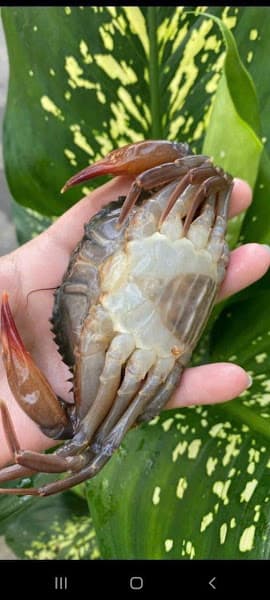 Hình ảnh Hải Sản Duy An - 2