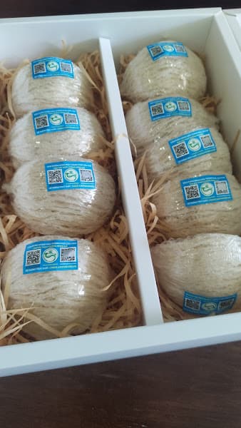 Hình ảnh CÔNG TY TNHH YẾN SÀO TỊNH HOẰNG - 3