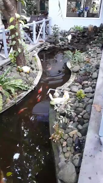 Hình ảnh Cà Phê Miền Đồng Thảo - 3