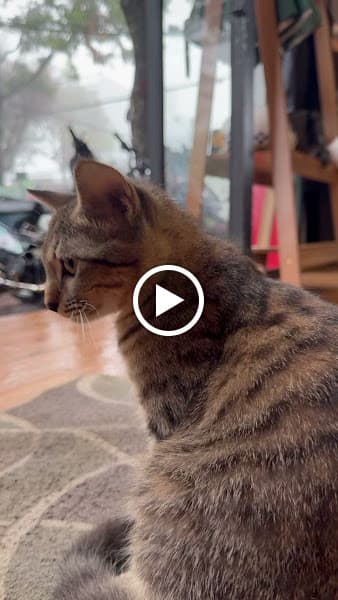 Hình ảnh PTP BarberShop - 4