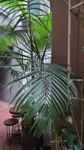 Hình ảnh Tranquil Books & Coffee - 3