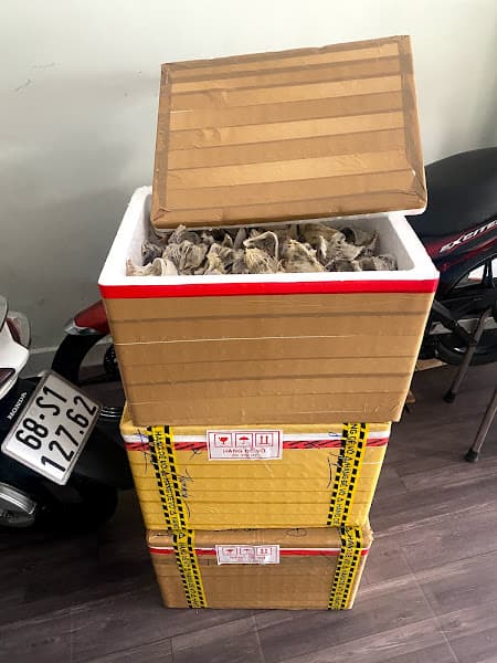 Hình ảnh Yến sào Hồng Yến - 2