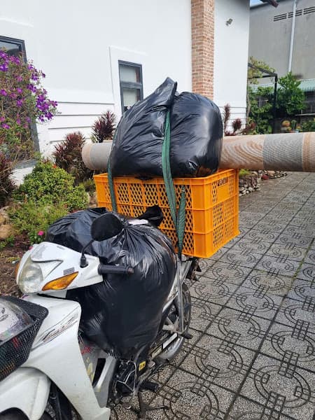 Hình ảnh GIẶT SẤY VÀNG - 3