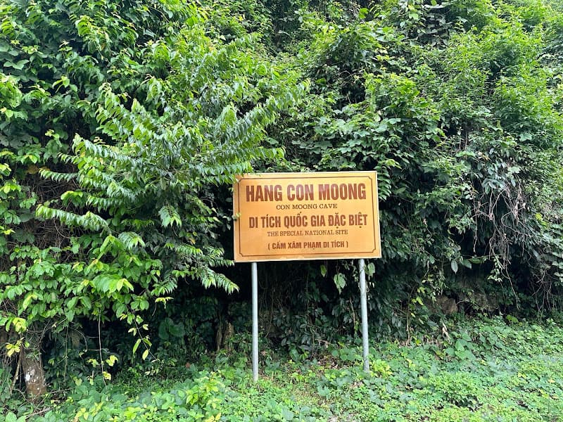 Hình ảnh Hang Con Moong - 4