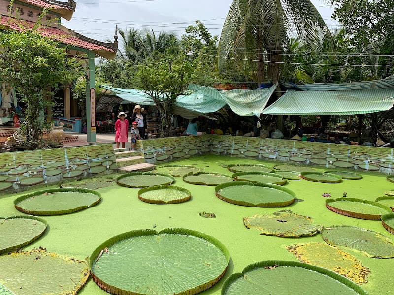 Hình ảnh Phước Kiển Tự (Chùa Lá Sen) - 2