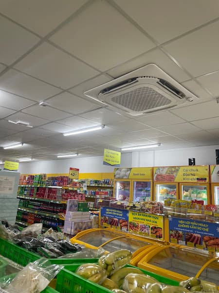 Hình ảnh Bách Hóa Xanh An Khê Quang Trung - 2