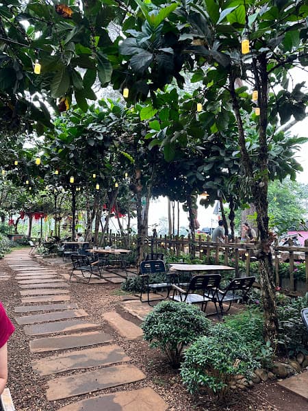 Hình ảnh Cafe Phước Hỷ - Hàng thông trăm tuổi GL - 5