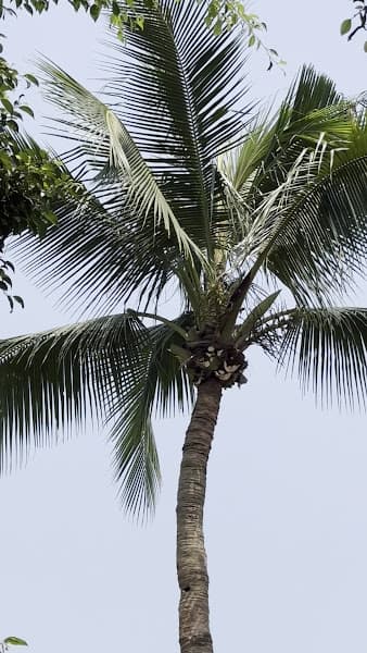 Hình ảnh KHU KHOÁNG NÓNG SÔNG ĐÀ - 3