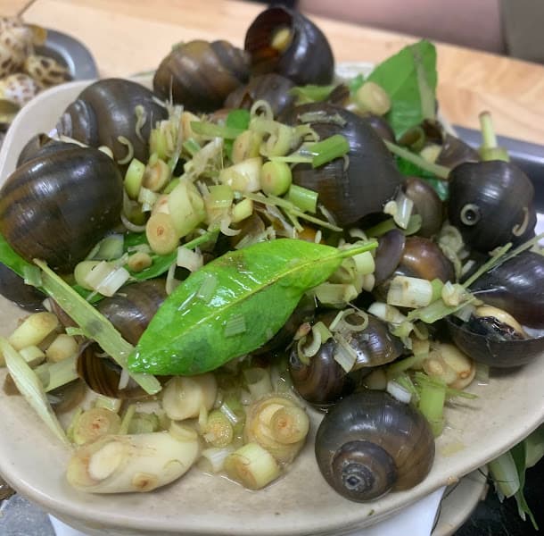 Hình ảnh Thương Ốc 269 - Lê Lợi - 2