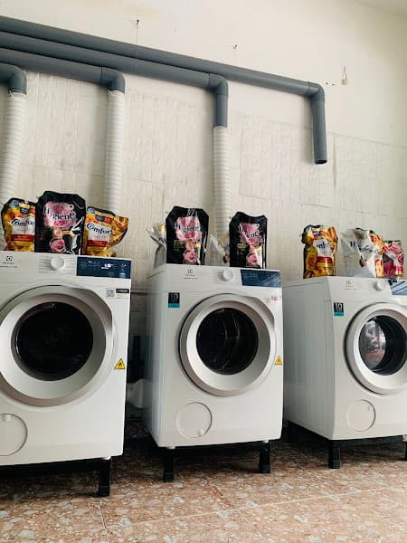 Hình ảnh Giặt - Sấy - Hấp FC&FC - 2