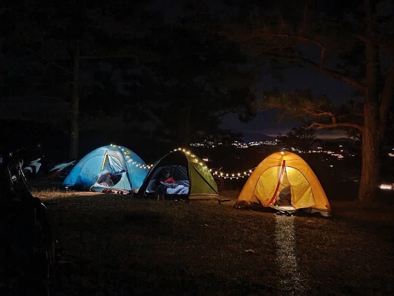 Đồi Cỏ Hồng Đà Lạt