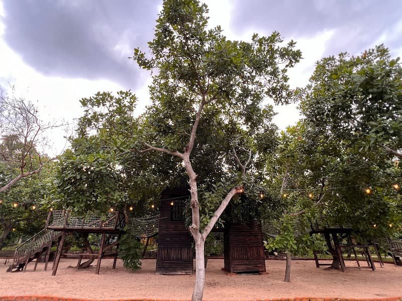 Hình ảnh C U L I Farm - Camping & Coffee - 4