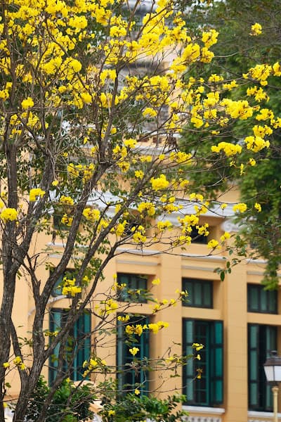 Hình ảnh Di tích Toà Án Nhân Dân Tối Cao - 2